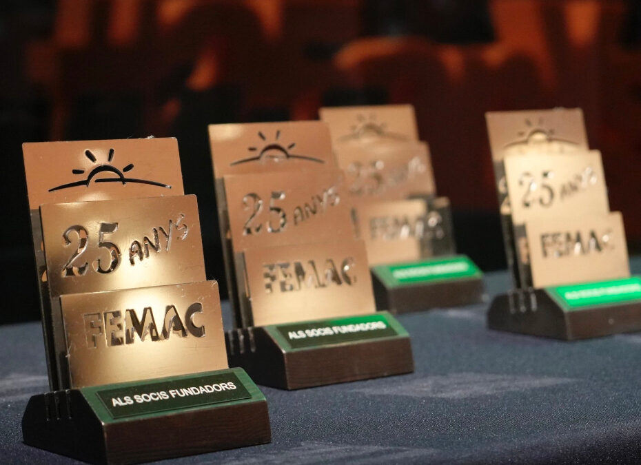 Klaster FEMAC świętuje 25-lecie istnienia